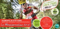 Sortida atenout BTT7: Castanyada 2014!