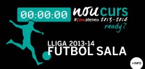 Lliga de futbol-sala 2013-2014